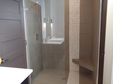 Walkin glass panel shower