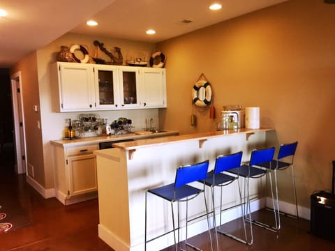 Lower level bar/kitchen