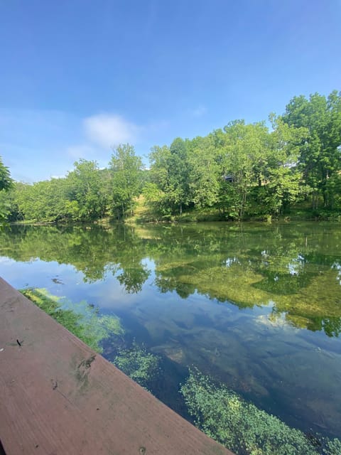 Morning coffee or evening fishing with uninterrupted river views from our dock