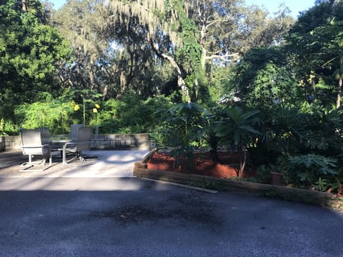 Backyard sitting area 