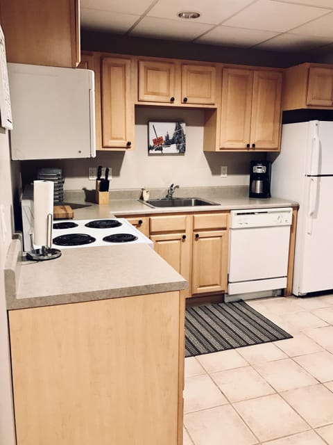 Lower level full kitchen area