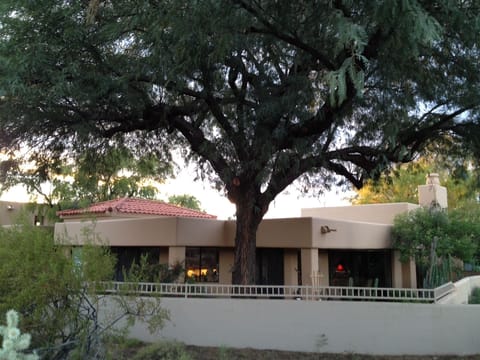 Our giant mesquite provides ambience but lets the southern sun shine on the spa🥰