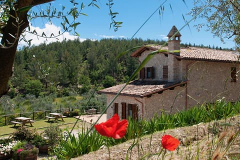 Agriturismo Molino Verde, apartments with swimming pool