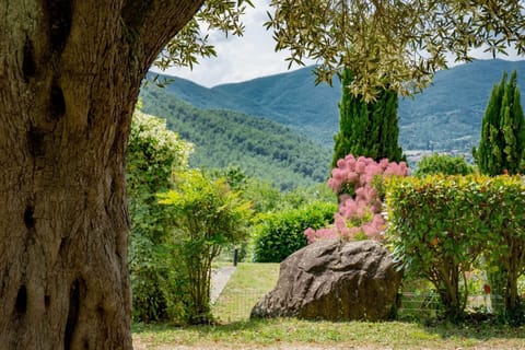 Villa San Martino (2)