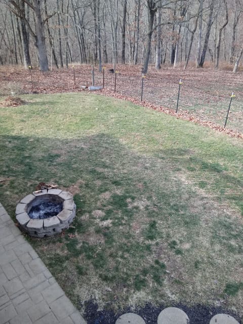 Outdoor firepit, marshmallow sticks provided for roasting marshmallows, etc.