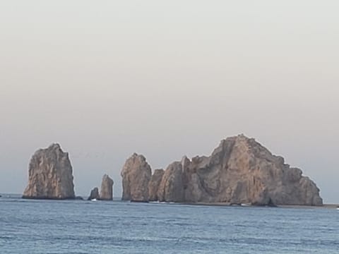 Ocean view