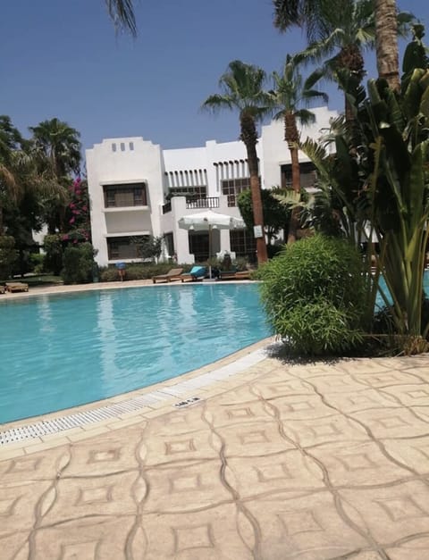 Pool right outside the apartment 