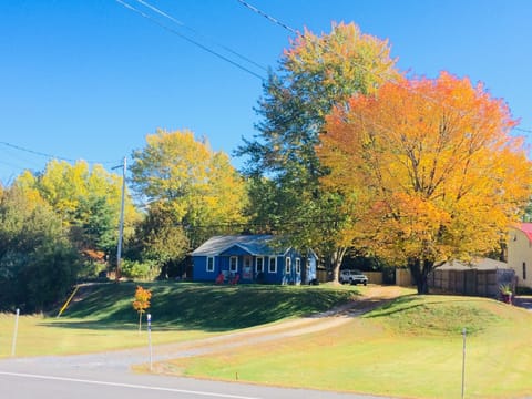 Beautiful mature trees and long driveway lead to our cottage.