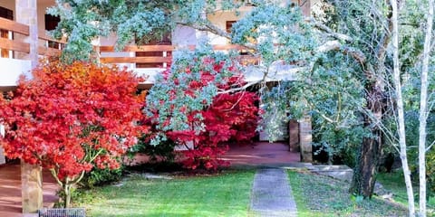 Traseiras da casa abertas para o jardim 
