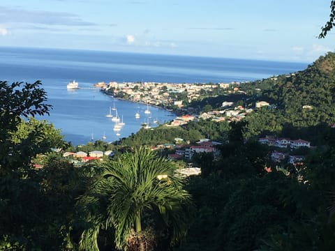 view from main veranda