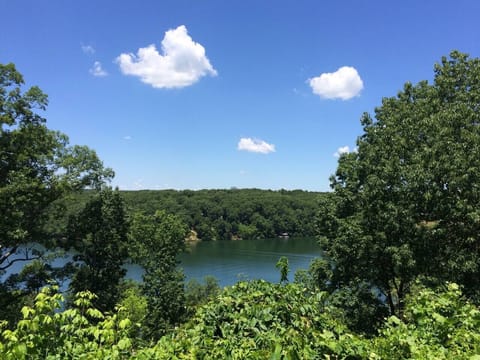 View from back porch: perfect for morning coffee or sunset chats.