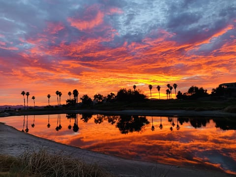 Sunset view from the pond off the back of the property. No filter!