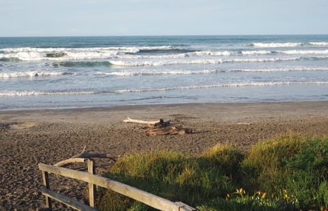 Ohope beach - across the road from the house