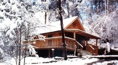 Private, cozy cabin nestled in a Smoky Mountain Valley. romantic, pets allowed.