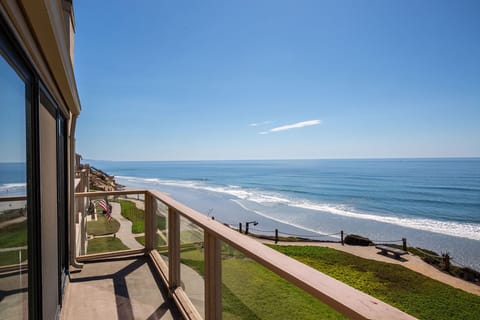 Grab a drink and search for dolphins