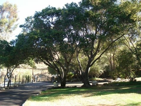 View of the front yard looking out to the front gate