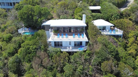 Your birds eye view of Rara Avis