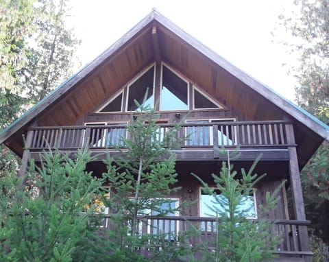 Rear of cabin overlooking Mt Rainier National Forest 