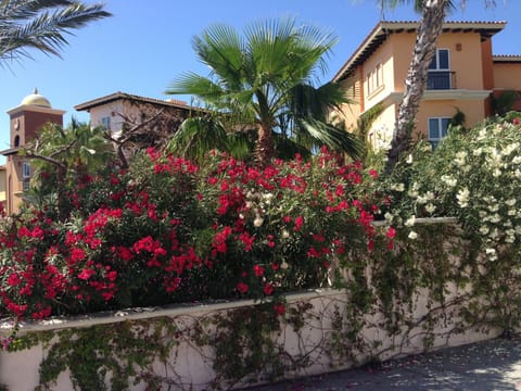 Lush landscaping on the Sea of Cortez. See website www.haciendadelmar.com.mx