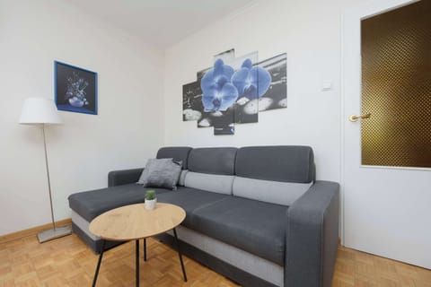 Bright living room with a comfortable sofa and modern decor.