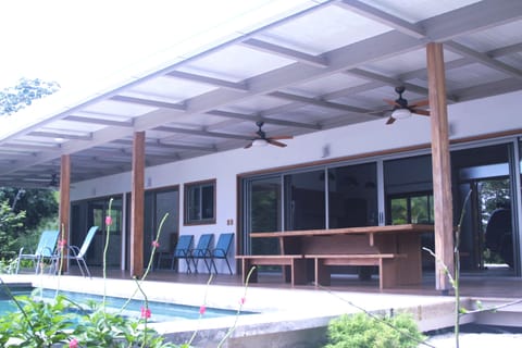 Butterfly bushes surround the pool attracting butterflys and hummingbirds 