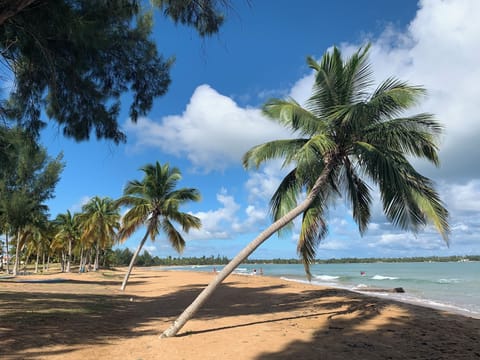 Located on a reef-protected bay, the secluded beach is steps from your condo.