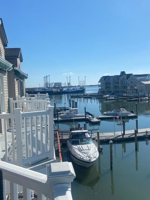 Cape May Harbor 