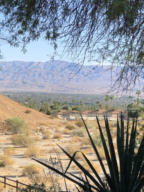 Spectacular Views from all 12 acres! Only 1.5 miles to city center!