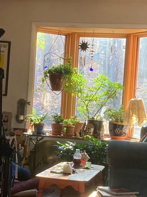 Plenty of winter sun through livingroom bay window with indoor ‘winter garden.’