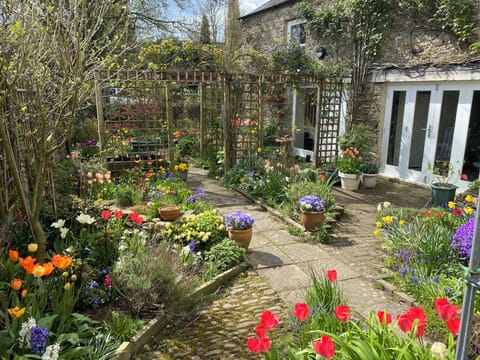 The garden in springtime