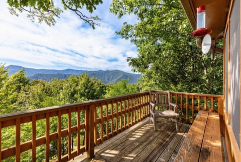 View from Top Deck 1