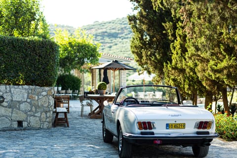 Home is where your story begins. Drive in & own it.