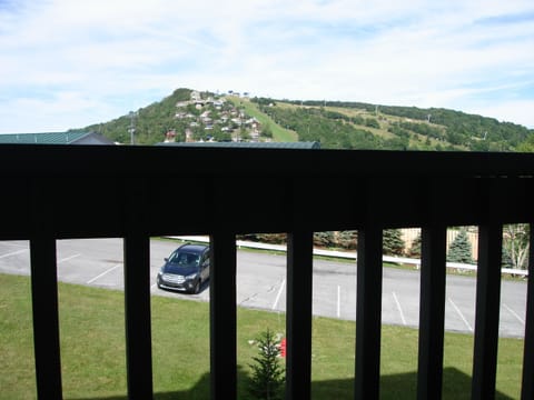 Balcony views of Ski Slopes only 2 miles away!!