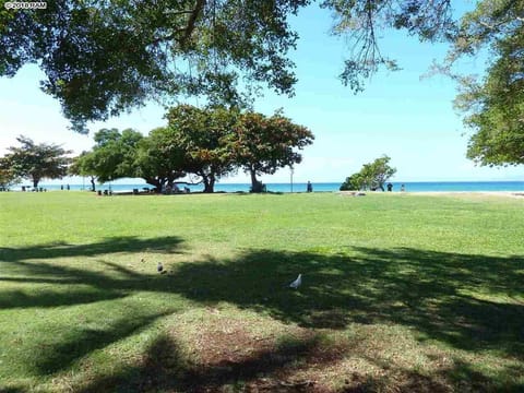 Honokowai Beach Park in front of condo complex. Great beach for young children