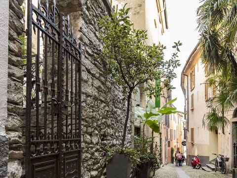 Plant, Building, Window, Flowerpot, Road Surface, Neighbourhood, Alley, Urban Design, Road, Facade