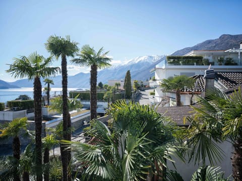 Tree, Mountainous Landforms, Vegetation, Hill, Mountain Range, Resort, Eco Hotel, Tropics