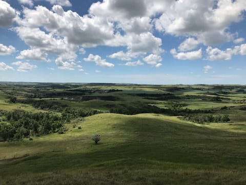 Back pasture overlook