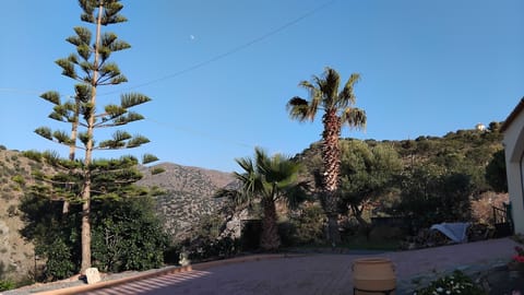 part of our drive overlooking the canyon