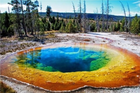 Enjoy easy access to nearby Yellowstone National Park.