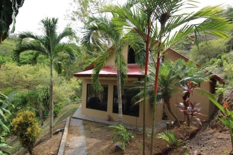 Pathway to pool