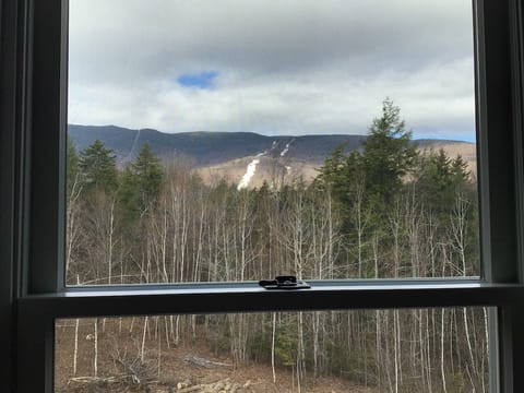 View  of mountain from 2nd floor bedroom, Lincoln room 