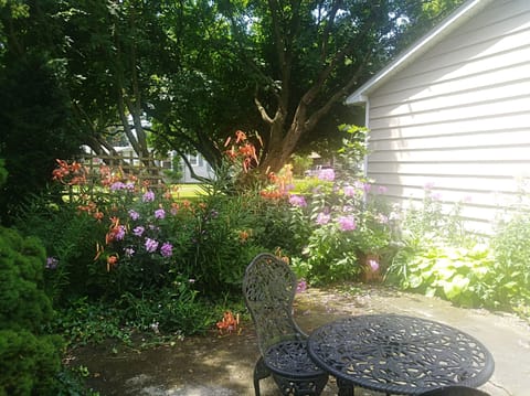 Flowers in bloom on patio