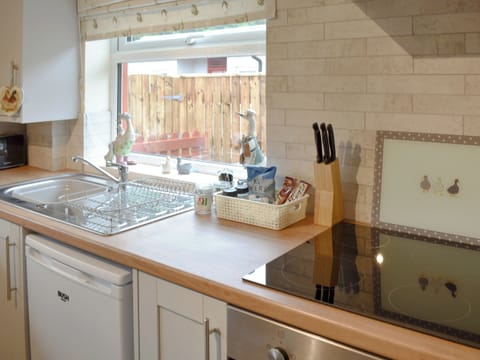 Well equipped kitchen area | Drake Lodge, Saltburn-by-Sea, near Whitby