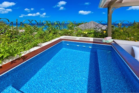 Beacon Hill 305-The Penthouse: Amazing rooftop plunge pool