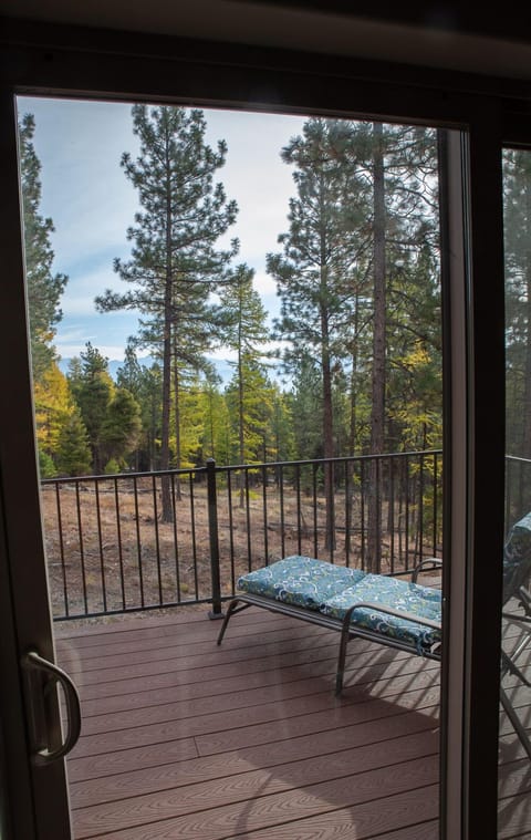 Back patio from dinning room