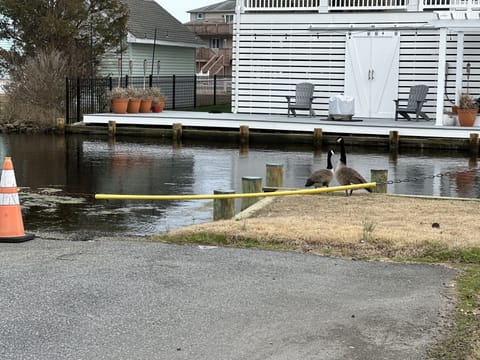 End of street launch between Evans and Seventh street. Launch your SUP/Kayak!