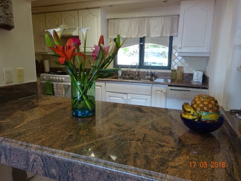 Granite pass thru to kitchen