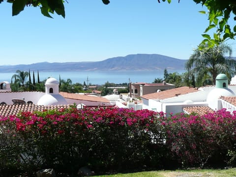 View Property from main patio