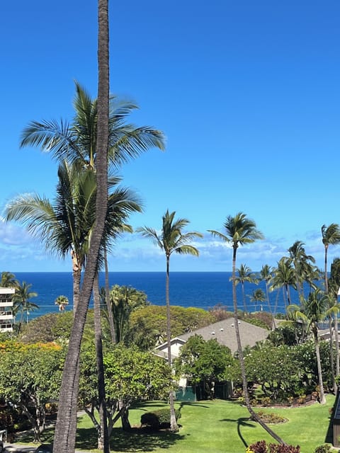THIS CAN BE YOUR VIEW AS YOU START YOUR DAY!!  EVEN BETTER IN PERSON!! 🌺🌴