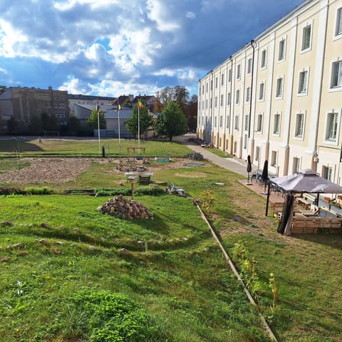 View from the window